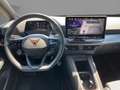 CUPRA Born Edition Dynamic 77kWh LED NAV PILOT-L 360° Silber - thumbnail 8