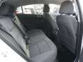 Hyundai IONIQ Level 4 Aut. *NAVI+KAMERA* Weiß - thumbnail 12