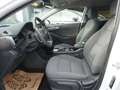 Hyundai IONIQ Level 4 Aut. *NAVI+KAMERA* Weiß - thumbnail 7