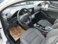 Hyundai IONIQ Level 4 Aut. *NAVI+KAMERA* Weiß - thumbnail 8