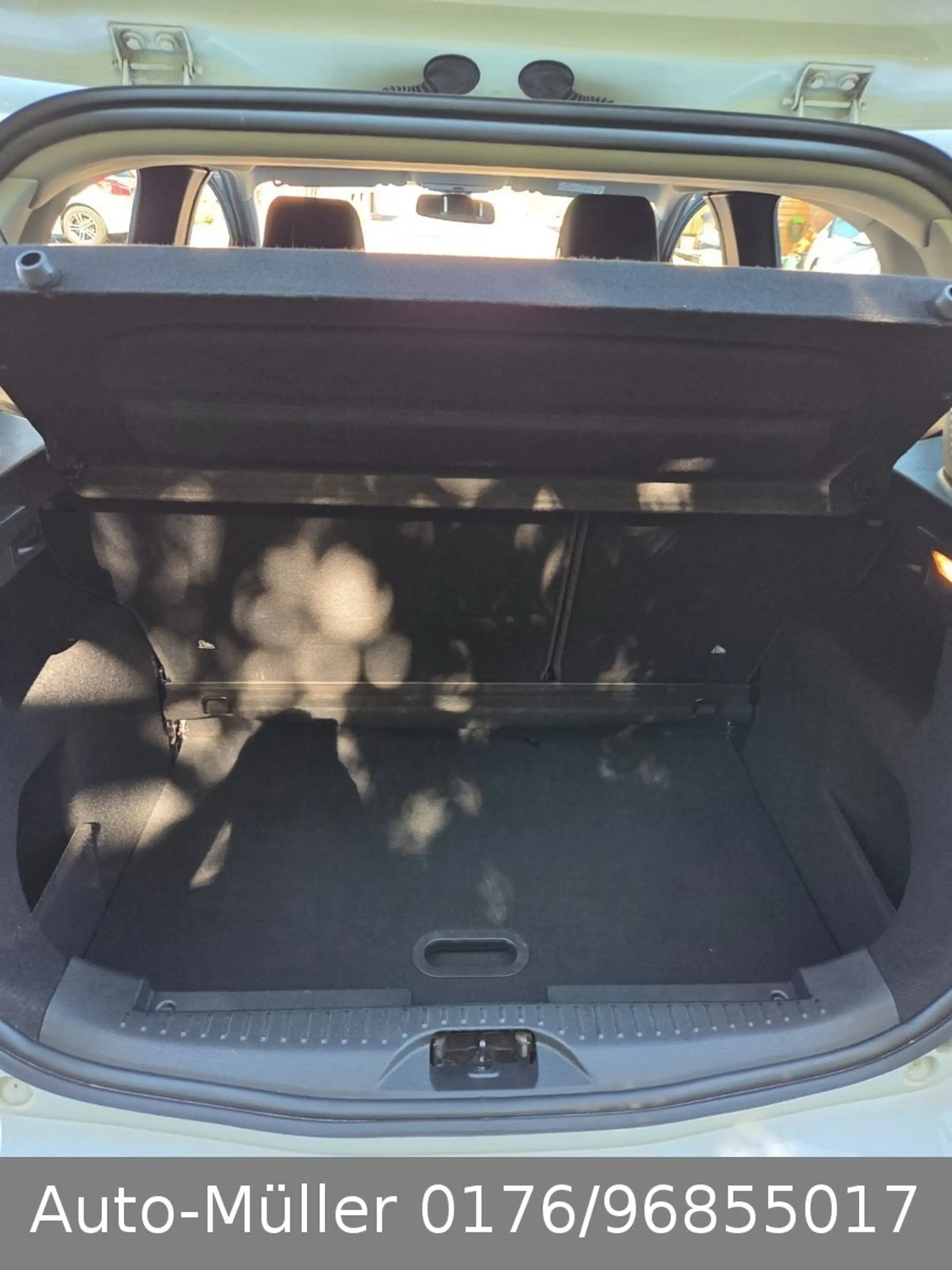 Ford B-Max B-MAX Sync Edition — photo 9