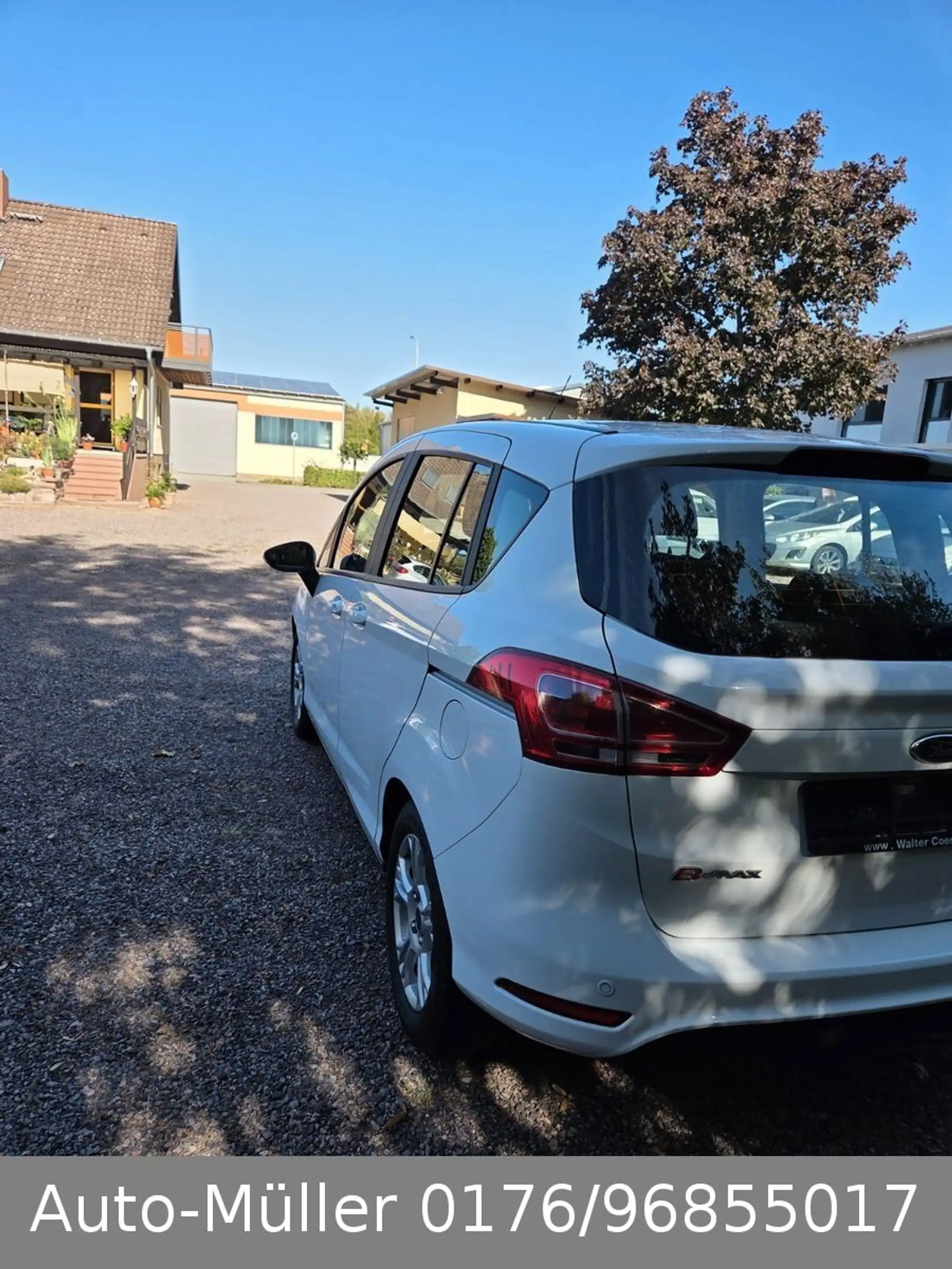 Ford B-Max B-MAX Sync Edition — photo 7
