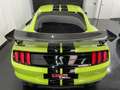 Ford Mustang GT500 golden ticket!! VENDIDO!! Verde - thumbnail 6