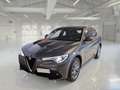 Alfa Romeo Stelvio 2.2 TD 160 CV Super Business AT8 RWD - thumbnail 1