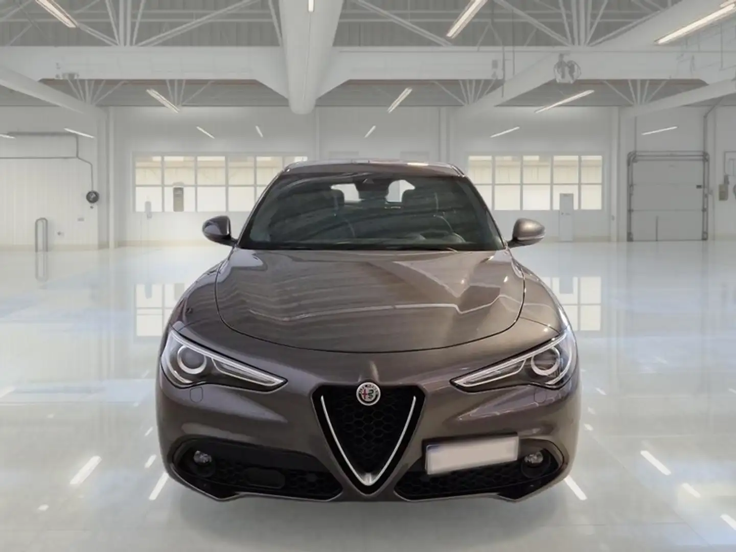 Alfa Romeo Stelvio 2.2 TD 160 CV Super Business AT8 RWD - 2