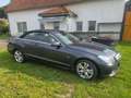 Mercedes-Benz 350 cabrio limousine Grau - thumbnail 5