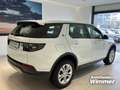 Land Rover Discovery Sport P300e S AHK Bluetooth Navi LED White - thumbnail 3