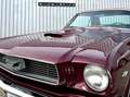 Ford Mustang Coupé 1966 Gold - thumbnail 9