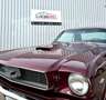 Ford Mustang Coupé 1966 Gold - thumbnail 4