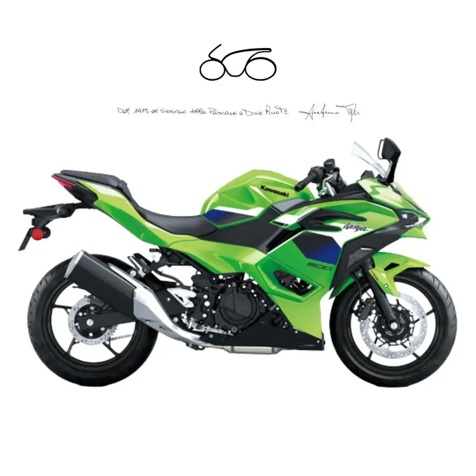 Kawasaki Ninja 500 SE