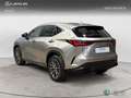 Lexus NX 450h+ PREMIUM+ (Híbrido Enchufable) Grau - thumbnail 2