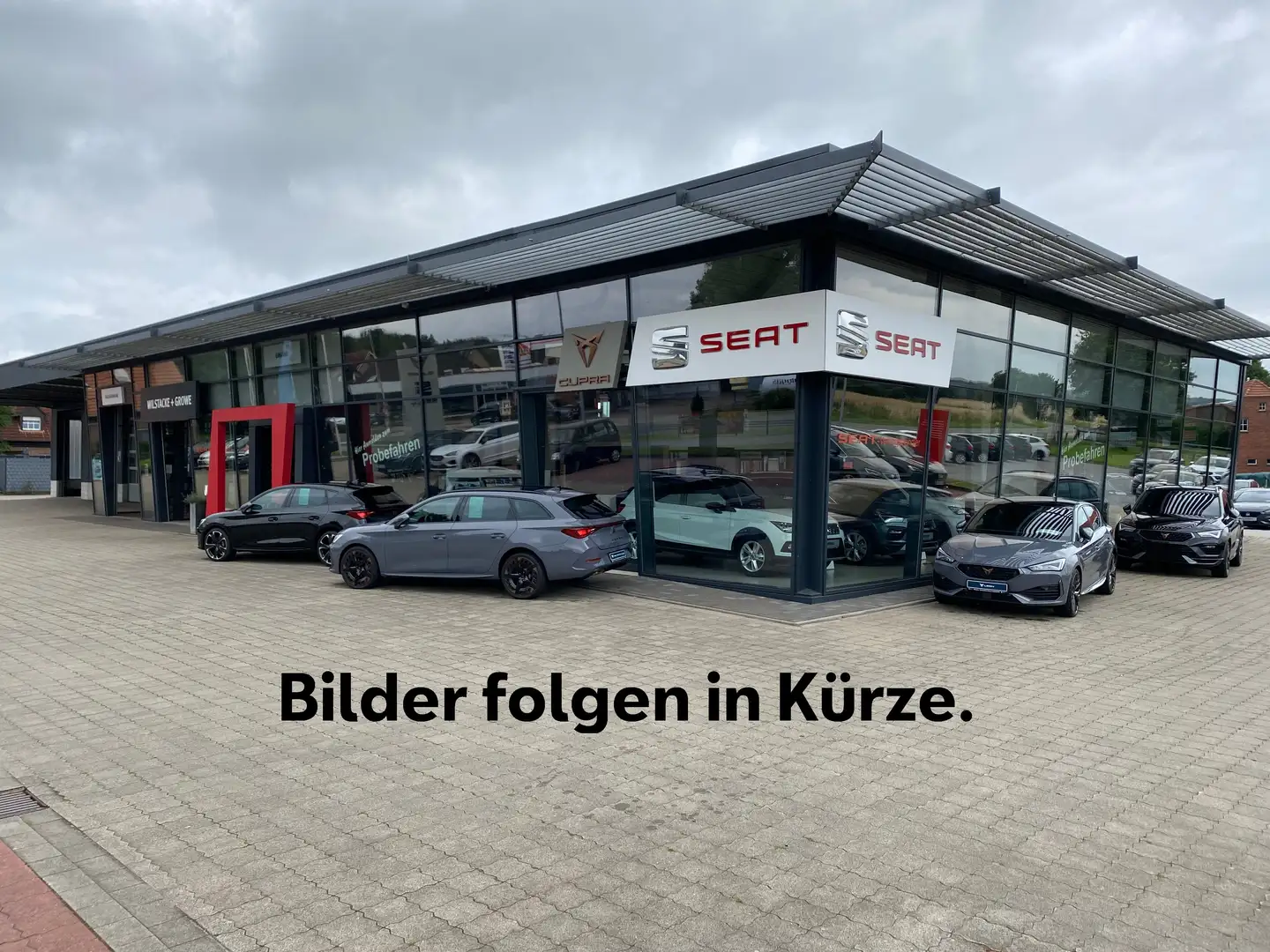 SEAT Arona 1.0 TSI 116 PS Xcellence - AHK Rot - 1