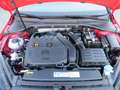 Volkswagen Golf 1,5 TGI DSG BlueMotion Comfortline ACC Rot - thumbnail 14