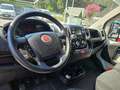 Fiat Ducato 35 2.3 MJT 130CV PLM-TM Furgone Maxi Bílá - thumbnail 6