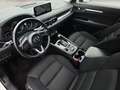 Mazda CX-5 G165 Ambition Aut./LED/Navi/SHZ/PDC/1.Besitz Weiß - thumbnail 15