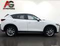 Mazda CX-5 G165 Ambition Aut./LED/Navi/SHZ/PDC/1.Besitz Weiß - thumbnail 4