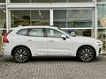 Volvo XC60 T8 455PK Long Range Bright| Panodak| Camera| Googl Bianco - thumbnail 4