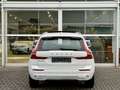 Volvo XC60 T8 455PK Long Range Bright| Panodak| Camera| Googl Bianco - thumbnail 6