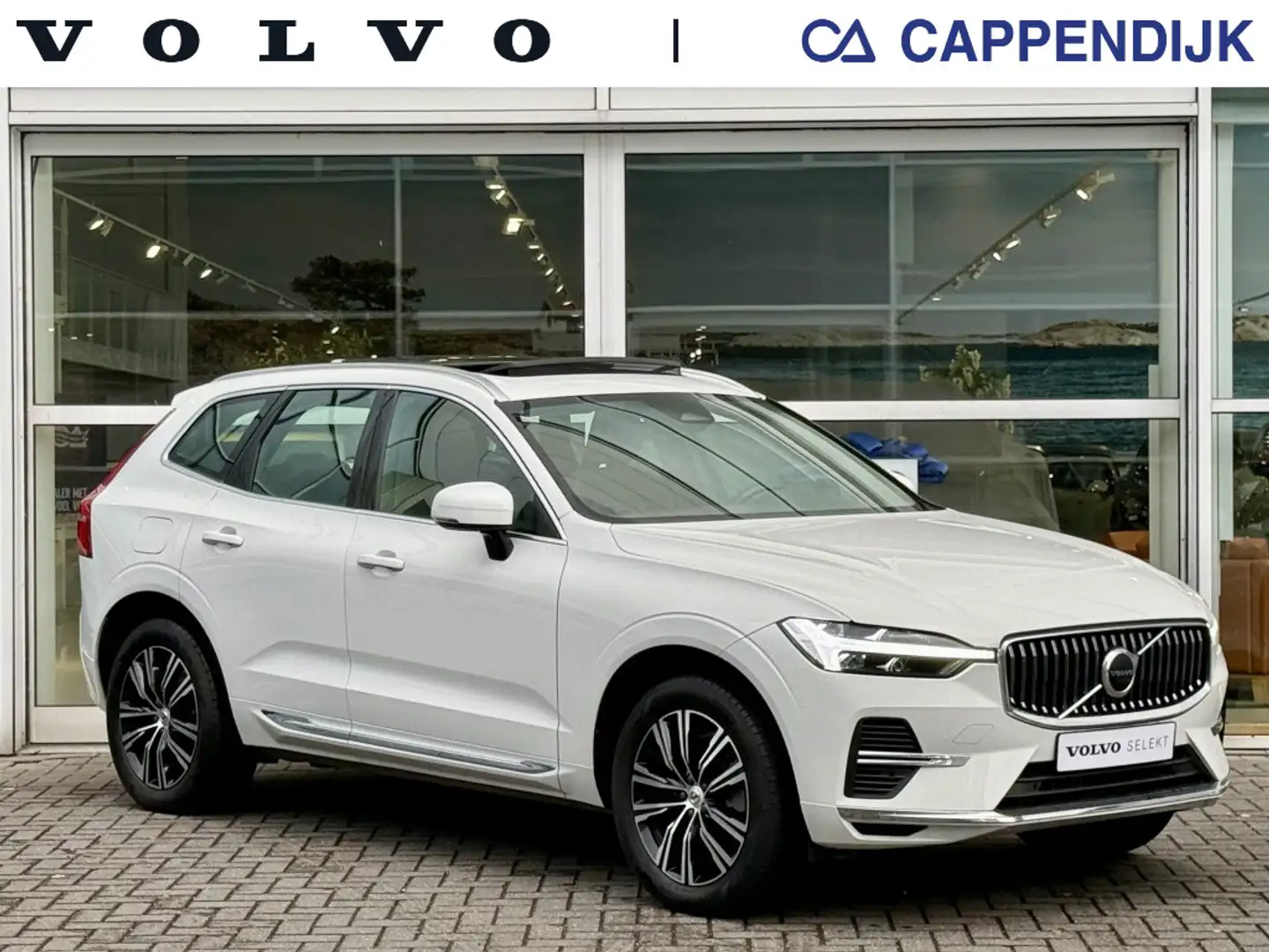 Volvo XC60 T8 455PK Long Range Bright| Panodak| Camera| Googl Bianco - 1