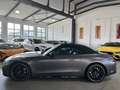Mercedes-Benz SL 55 AMG + 4M MAGNO UPE 207700 Euro Grau - thumbnail 10
