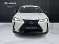 Lexus UX 250h UX 250h 2.0 Midnight 2wd cvt Bianco - thumbnail 13