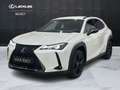 Lexus UX 250h UX 250h 2.0 Midnight 2wd cvt Bianco - thumbnail 1