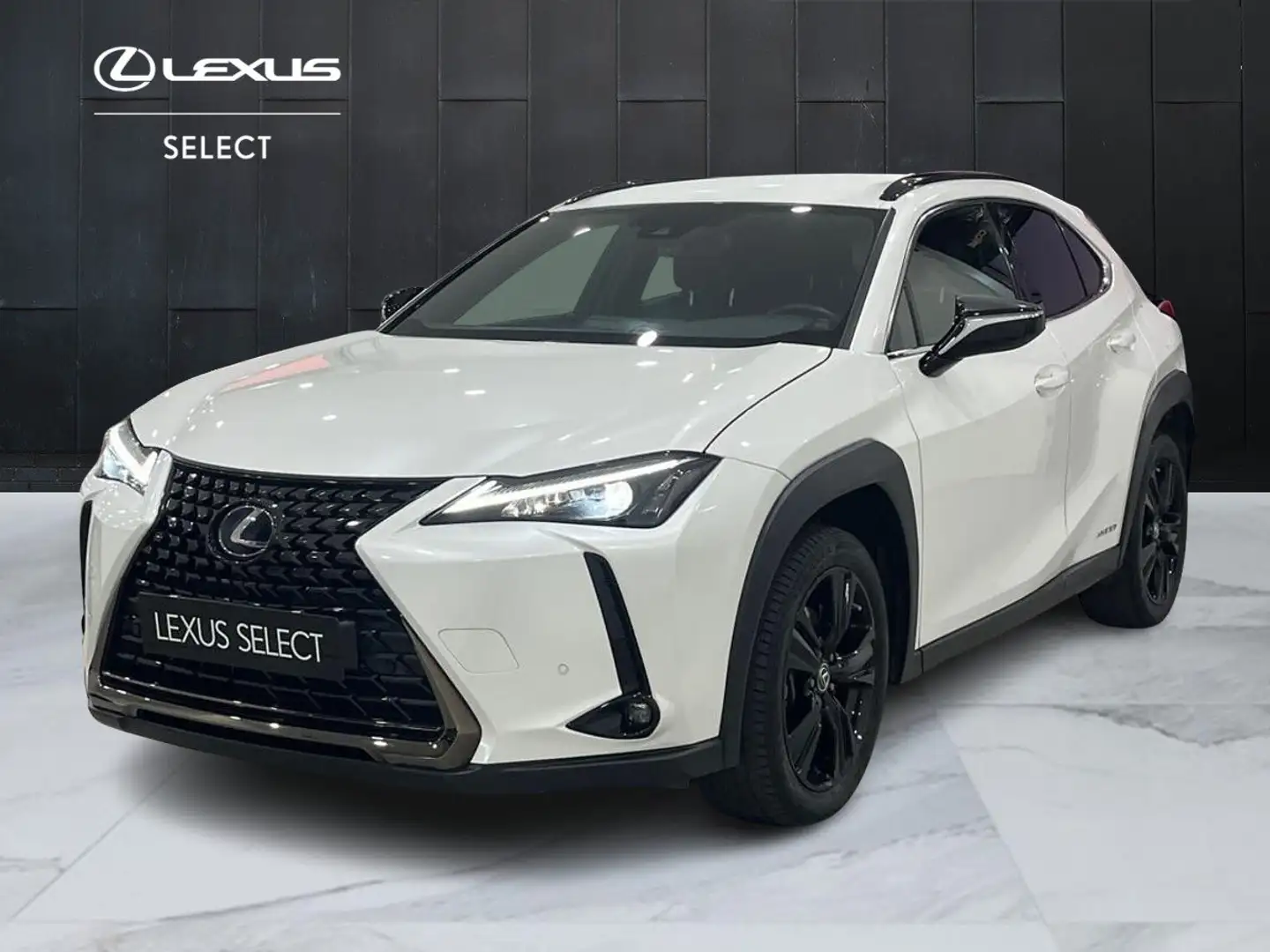 Lexus UX 250h UX 250h 2.0 Midnight 2wd cvt Bianco - 1