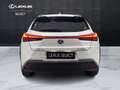 Lexus UX 250h UX 250h 2.0 Midnight 2wd cvt Bianco - thumbnail 12