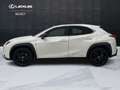 Lexus UX 250h UX 250h 2.0 Midnight 2wd cvt Bianco - thumbnail 3