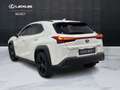 Lexus UX 250h UX 250h 2.0 Midnight 2wd cvt Bianco - thumbnail 5
