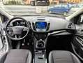 Ford Kuga Kuga II 2017 1.5 tdci Titanium PARI AL NUOVO Bianco - thumbnail 11