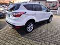 Ford Kuga Kuga II 2017 1.5 tdci Titanium PARI AL NUOVO Bianco - thumbnail 2