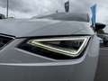 SEAT Ibiza 1,0 TSI FR Line Wit - thumbnail 2