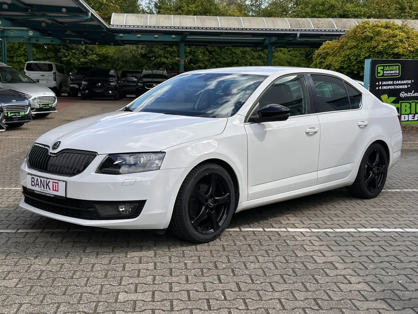 Skoda Octavia 1.4 TSI Elegance *Tempomat*Xenon*LM* White - 2