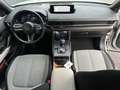 Mazda MX-30 e-SkyActiv 145 Comfort Weiß - thumbnail 16