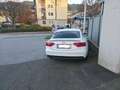Audi A5 SB 2,0 TDI quattro DPF S-tronic Weiß - thumbnail 4