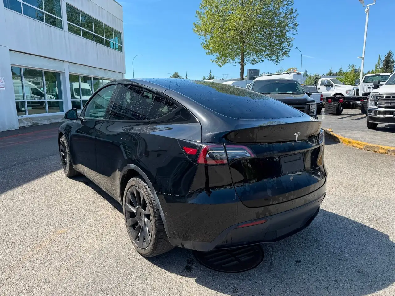 Tesla Model Y снимка Tesla Model Y