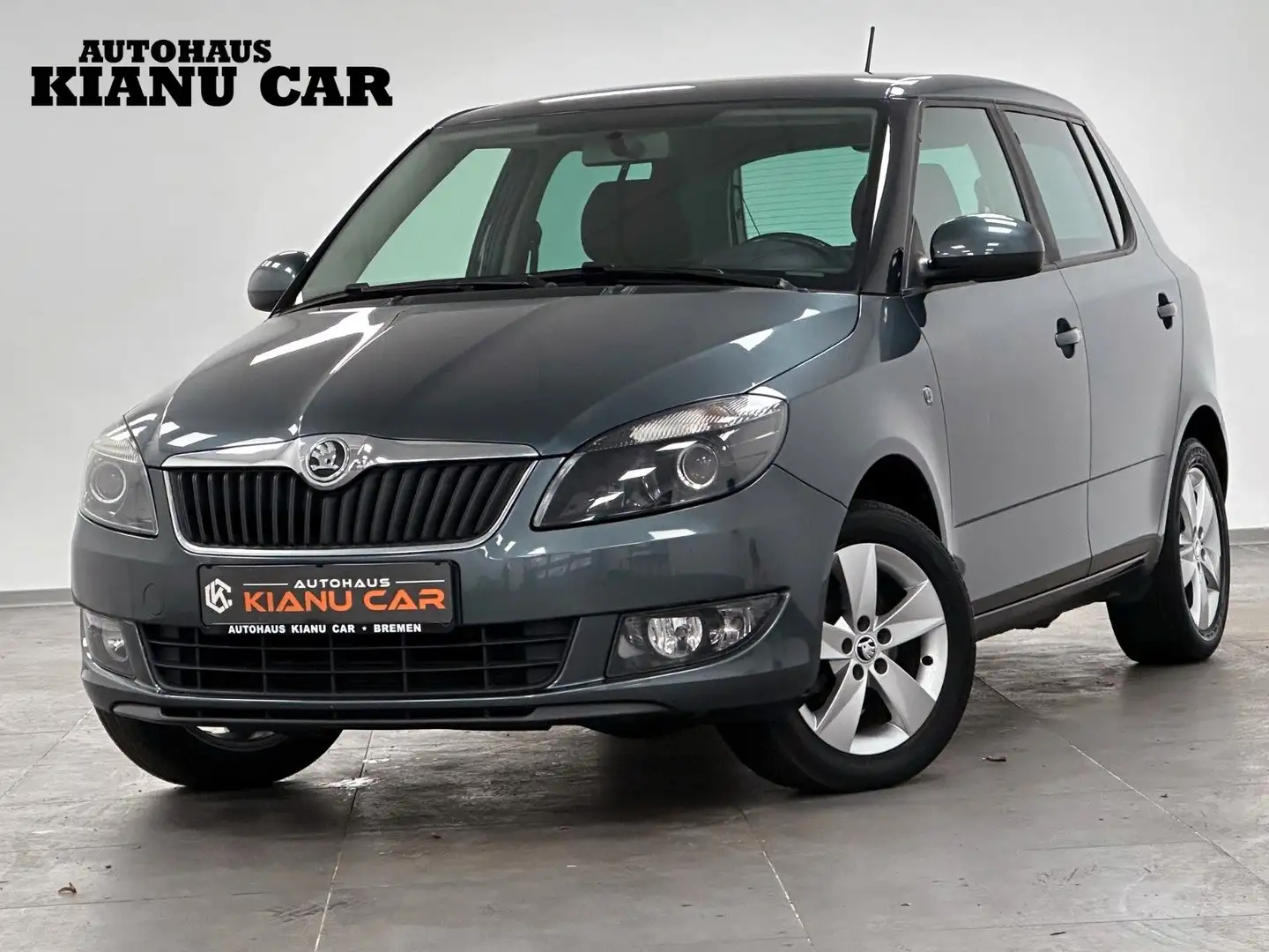 Skoda Fabia Ambition.AHK.SHZ.KLIMA.EURO5 Grau - 1
