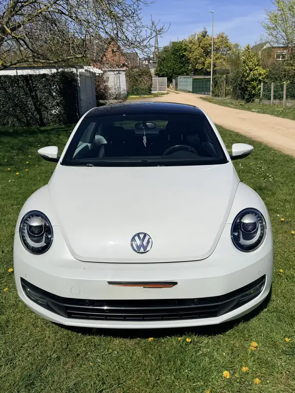 Volkswagen Beetle 2014 из Европы — купить под ключ