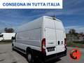Fiat Ducato 35 3.0 CNG L4H3 MAXI METANO BENZINA-SENSORI- Weiß - thumbnail 5