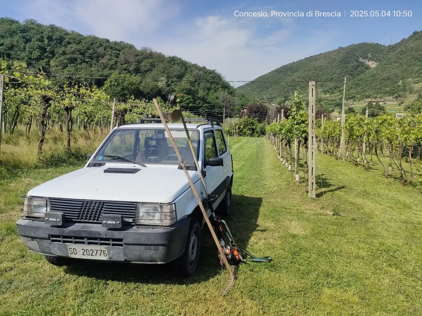 Fiat Panda 1.0 Trekking 4x4 - 1