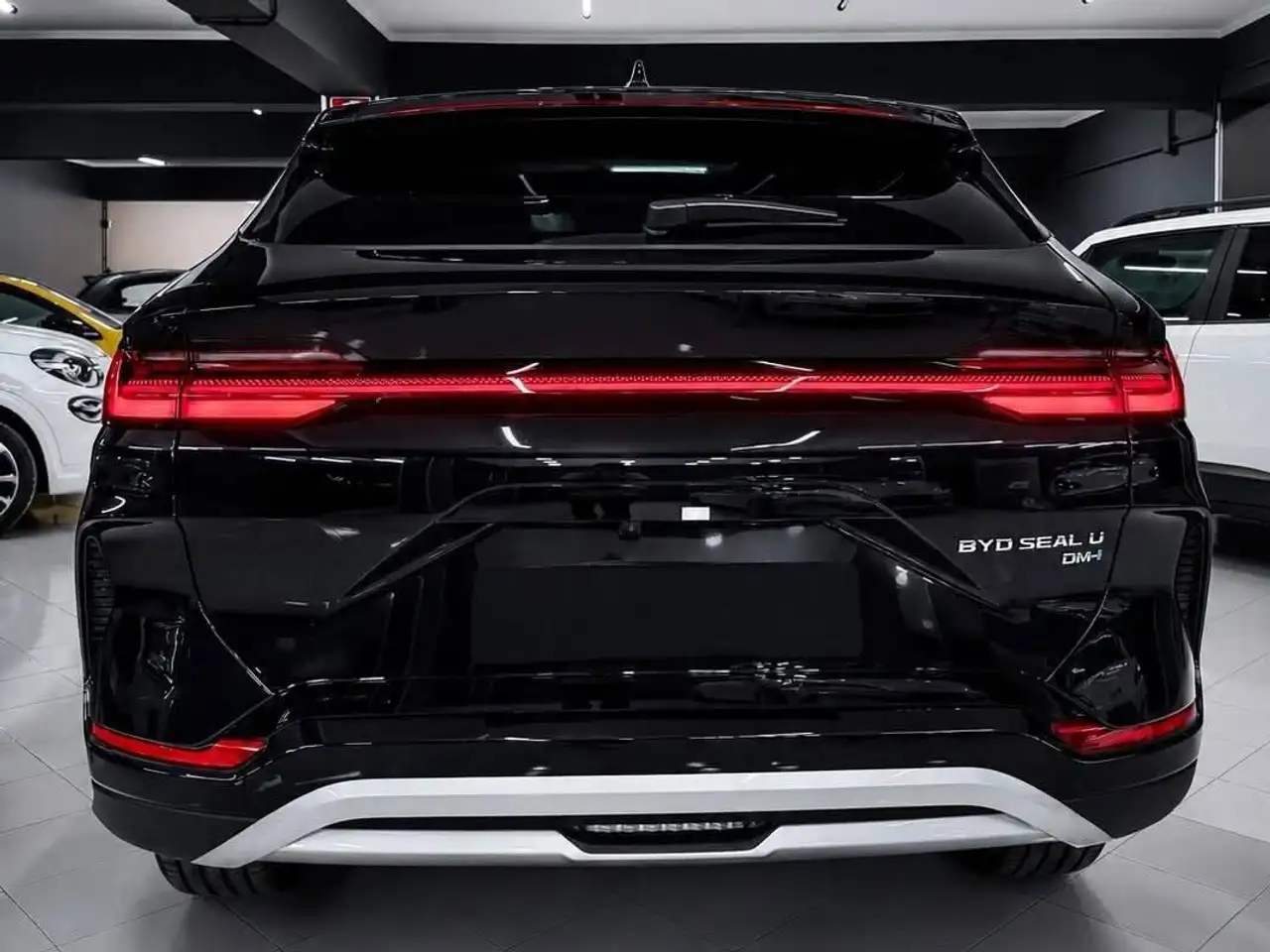 BYD Others 2026