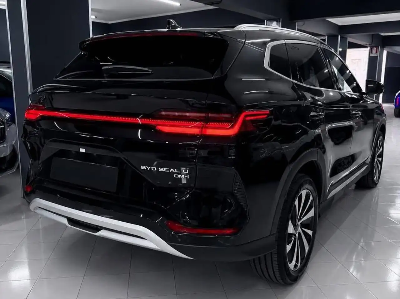 BYD Others 2026