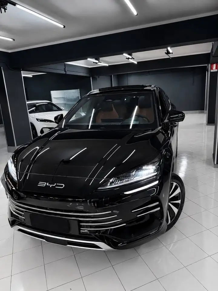 BYD Others 2026
