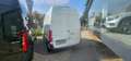 Mercedes-Benz Sprinter Sprinter F39/35 311 CDI FWD TA PREZZO IMPONIBILE Blanc - thumbnail 9