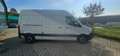 Mercedes-Benz Sprinter Sprinter F39/35 311 CDI FWD TA PREZZO IMPONIBILE Blanc - thumbnail 4