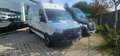 Mercedes-Benz Sprinter Sprinter F39/35 311 CDI FWD TA PREZZO IMPONIBILE Blanc - thumbnail 2