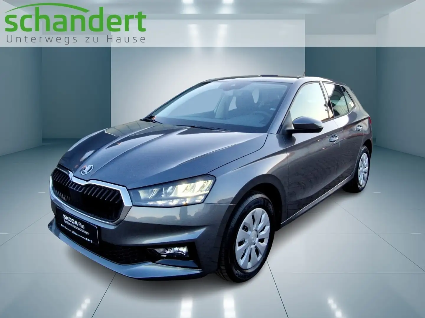 Skoda Fabia 1.0 TSI Selection DSG LED Sitzhzg. Klimaautomati Grau - 1