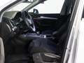 Audi Q5 40 2.0 tdi Business quattro 190cv s-tronic White - thumbnail 8