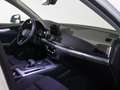 Audi Q5 40 2.0 tdi Business quattro 190cv s-tronic Bianco - thumbnail 12